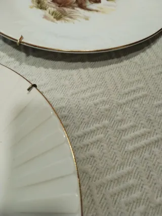 Lote 6 Platos porcelana Decoración Animales