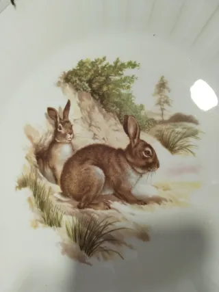 Lote 6 Platos porcelana Decoración Animales