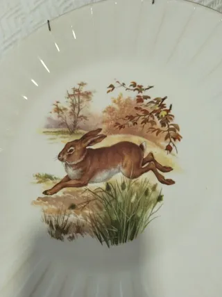 Lote 6 Platos porcelana Decoración Animales