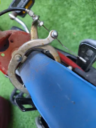 Bicicleta Patrulla Canina con ruedines