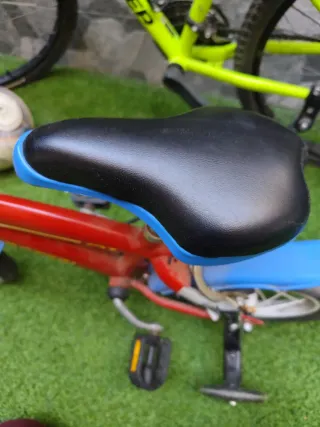 Bicicleta Patrulla Canina con ruedines