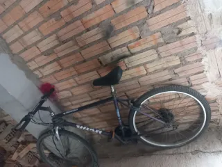 Bicicleta Montaña