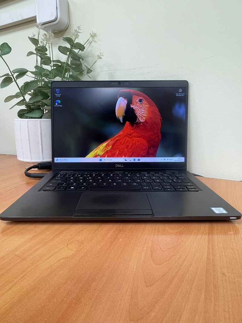 Dell Latitude 5300 (ref. 79219)