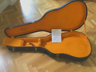 Gibson ES-340 TDW 1969 (no cambios)