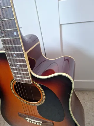 Funda para guitarra Ashton y guitarra poco usada