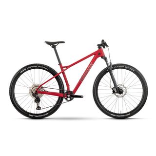 Bicicleta Raymon Arid Pro MTB 29