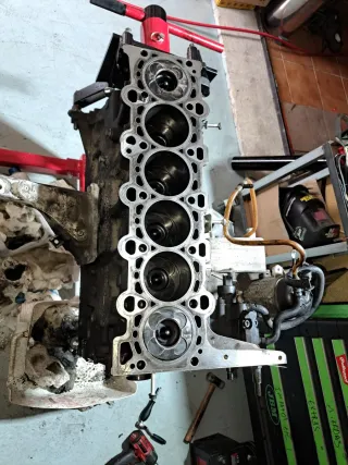 Motor BMW 330d M57 D1