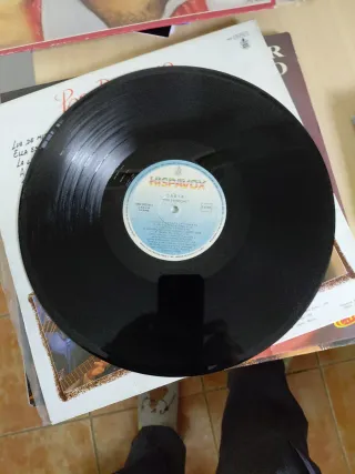 Vinilo Casta Por Derecho