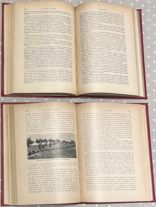 Libros La Guerra de 1914, La Invasión tapa dura