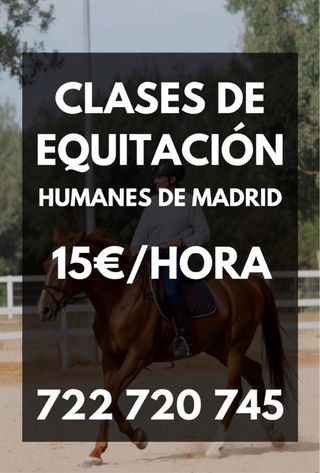 Clases de equitacion