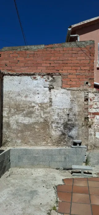 Busco paleta