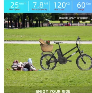 YADEA YT300 EBIKE 250W 36V Motor Central