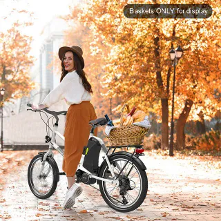 YADEA YT300 EBIKE 250W 36V Motor Central