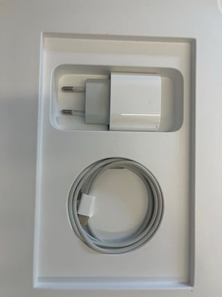 iPad A2461 256 Gb 12.9 pollici +Apple Pencil