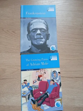 Libros de inglés