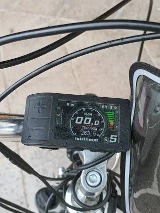 Bici eléctrica