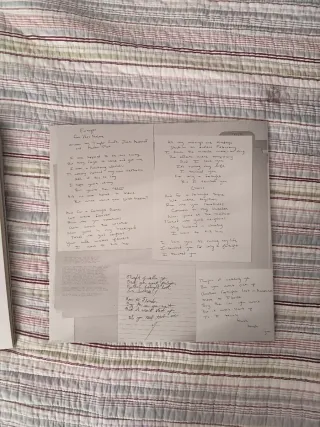 Vinilo Taylor Swift TTPD The Manuscript