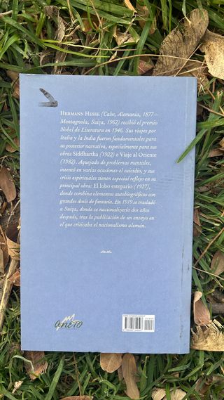 El lobo estepario - Hermann Hesse