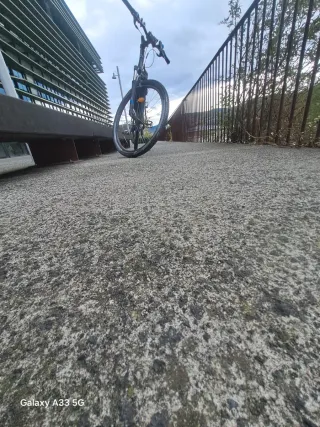 Bicicleta de montaña