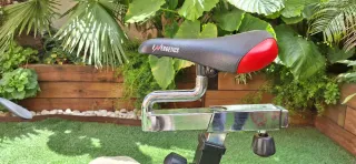 Bicicleta Spinning Energetics PT 1900 Performance