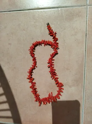 Collar de coral rojo y cierre dorado