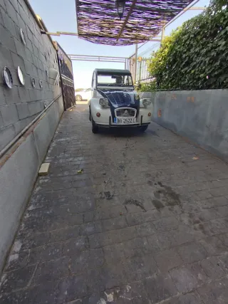 Citroen Dos caballos de 1975