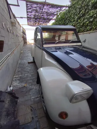 Citroen Dos caballos de 1975