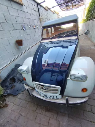 Citroen Dos caballos de 1975