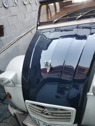 Citroen Dos caballos de 1975