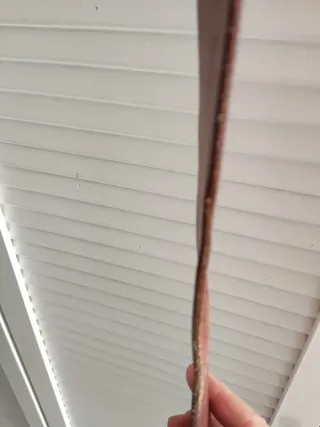 Cinturón de cuero auténtico