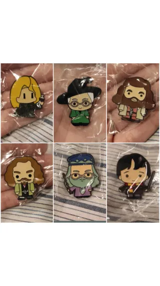 Lotto 6 pin Harry Potter