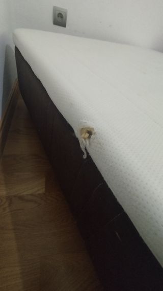 Canapé Cama con Colchón Viscoelástico