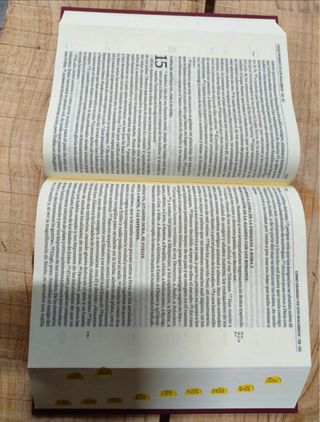 Biblia de Jerusalén letra grande nueva sin usar