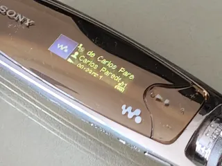 Walkman Sony NW-S705F 2GB Oro/Plata