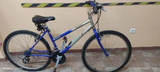 Bicicleta de Montaña Oxe Azul y Plata