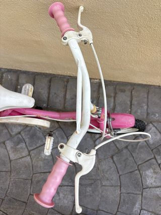 Bicicleta 14” con ruedines