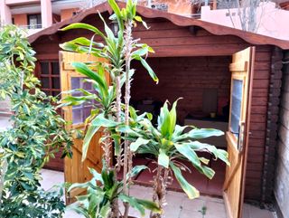 Caseta de madera para jardín