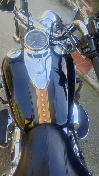 Harley Davidson Heritage Softail Negra