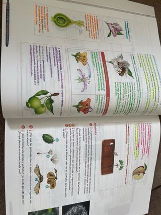 Biología y Geología 1º ESO Geniox Oxford