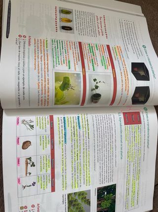 Biología y Geología 1º ESO Geniox Oxford
