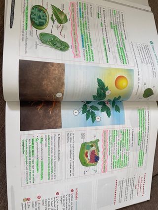 Biología y Geología 1º ESO Geniox Oxford