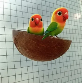Pack para agapornis/pájaros/loros/periquitos