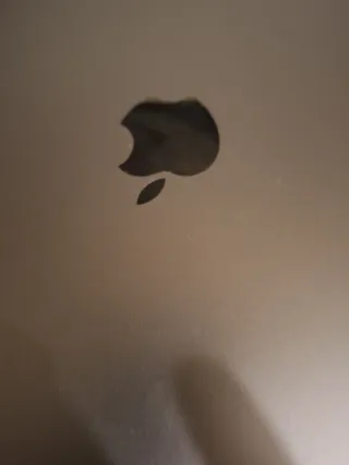 Portátil Apple Plata/Gris Espacial