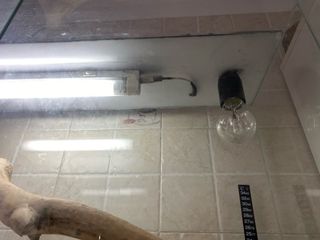 Terrario come nuovo, completo