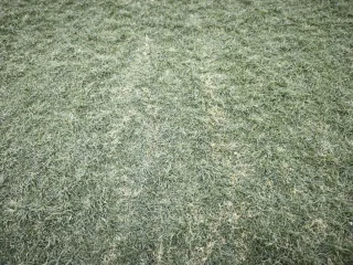 Césped artificial 80 mt