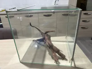 Teca per rettili/tartarughe con legno decorativo
