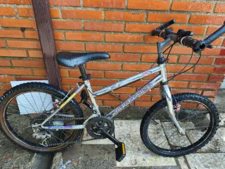Bicicleta infantil 20 montaña