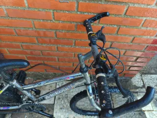 Bicicleta infantil 20 montaña