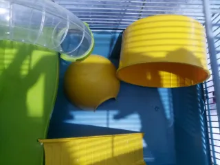 Jaula para hámster con túneles y accesorios