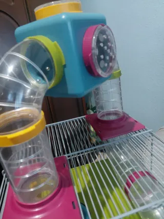 Jaula para hámster con túneles y accesorios